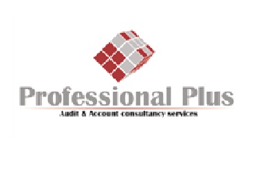 PROFESSIONAL PLUS